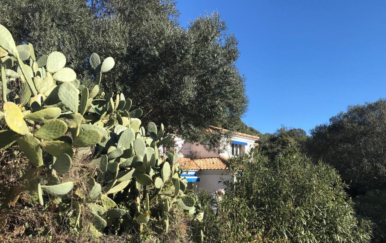 Résidence hôtelière A TRAMA Bonifacio  Exterior foto